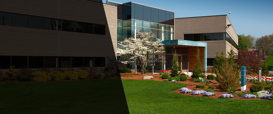 Sierra Vista Landscapers