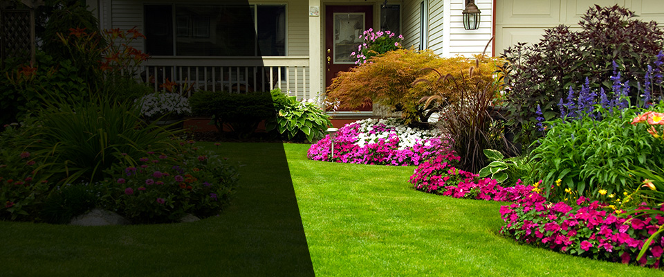 Sierra Vista Landscapers