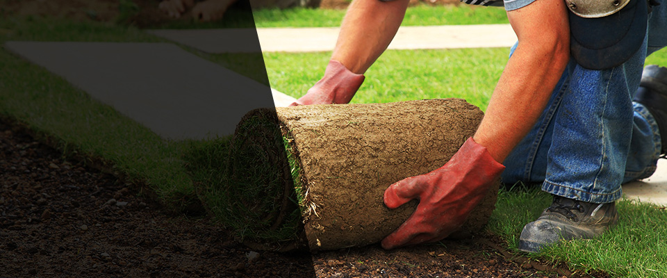 Sierra Vista Landscapers
